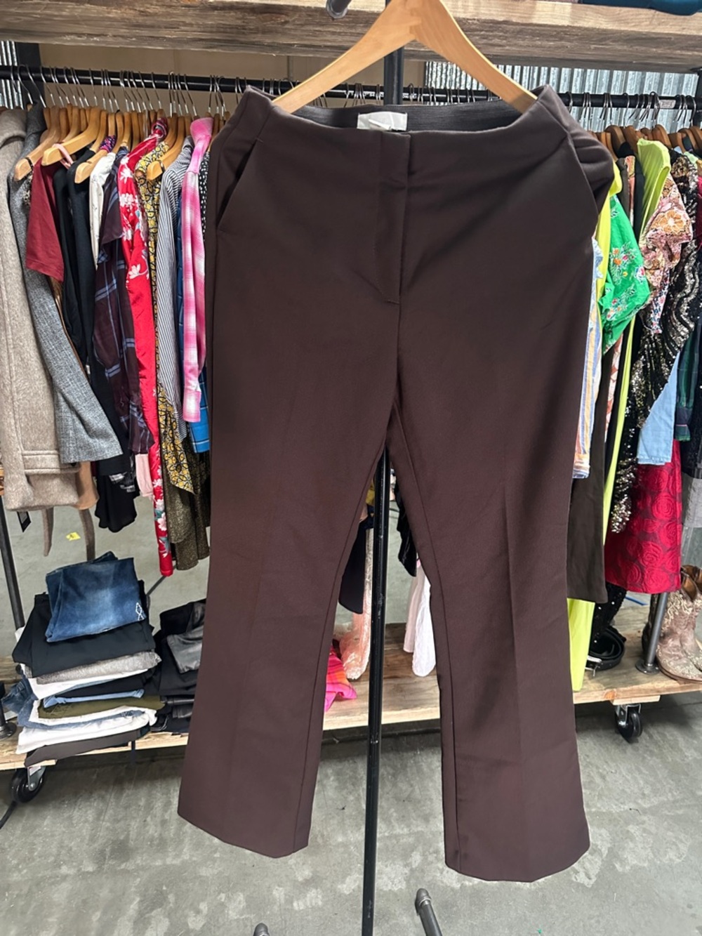 Women's Brown Boot Cut Dress Pants